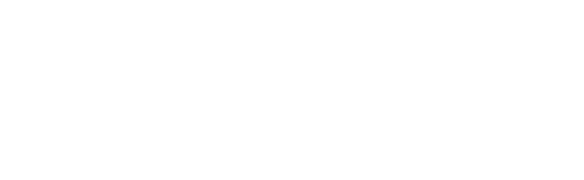 VX4 Overland